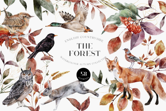 Download Autumn Forest Animals Watercolor PNG - Animal Collection